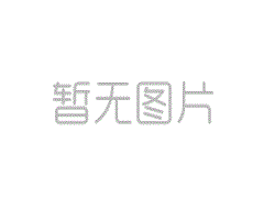 DH01E-1-W-打滑檢測(cè)器DH01E-1-W-打滑開(kāi)關(guān)價(jià)格